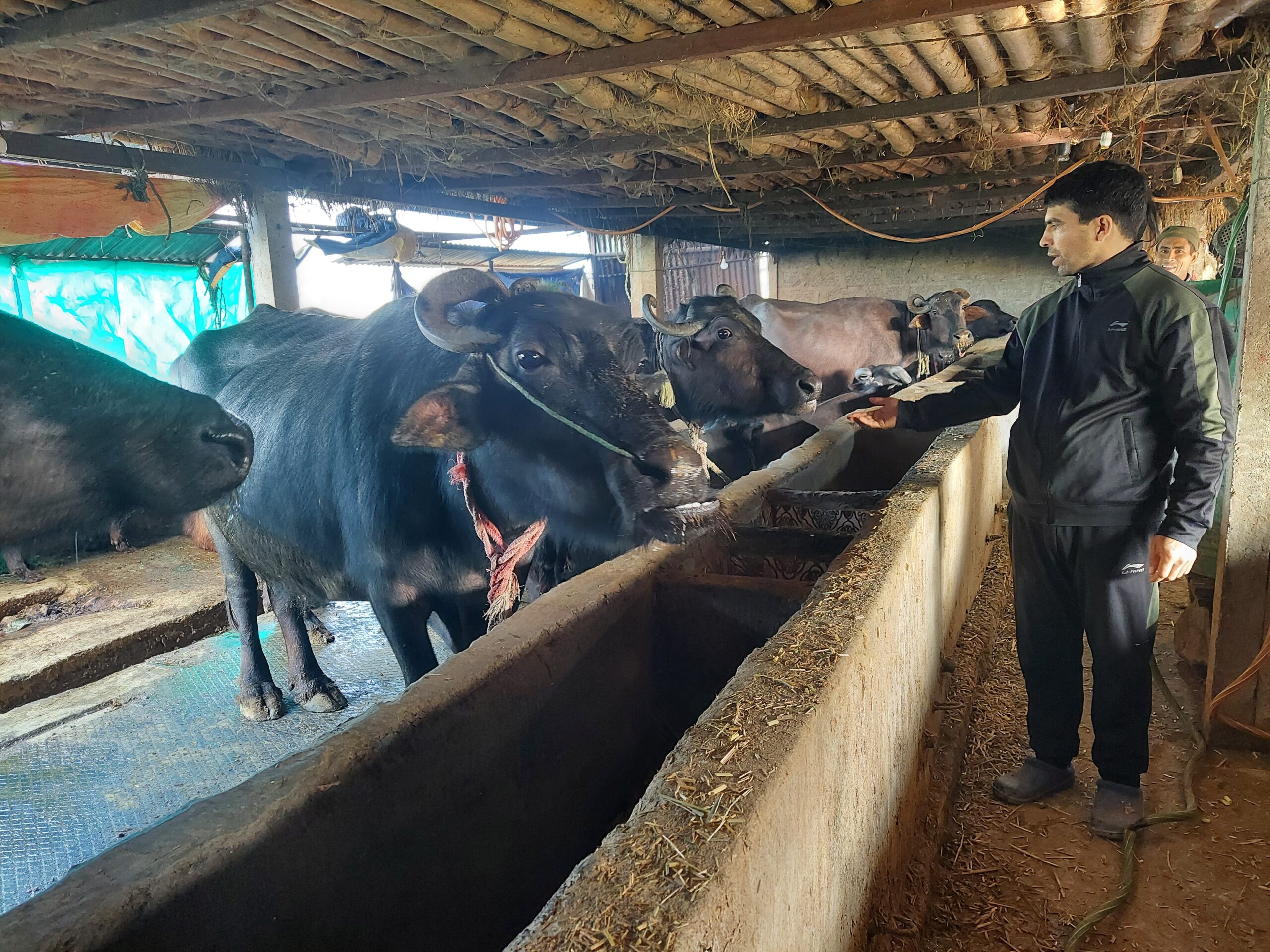 किसानकाे हातमा परेन् कृषि अनुदान, राज्य काेषकाे अर्ब अनुदान हरायाे