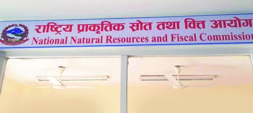वित्त आयोगले कुन आधारमा गर्छ मूल्याङ्कन, यस्तो छ काठमाडौँका स्थानीय तहको अवस्था