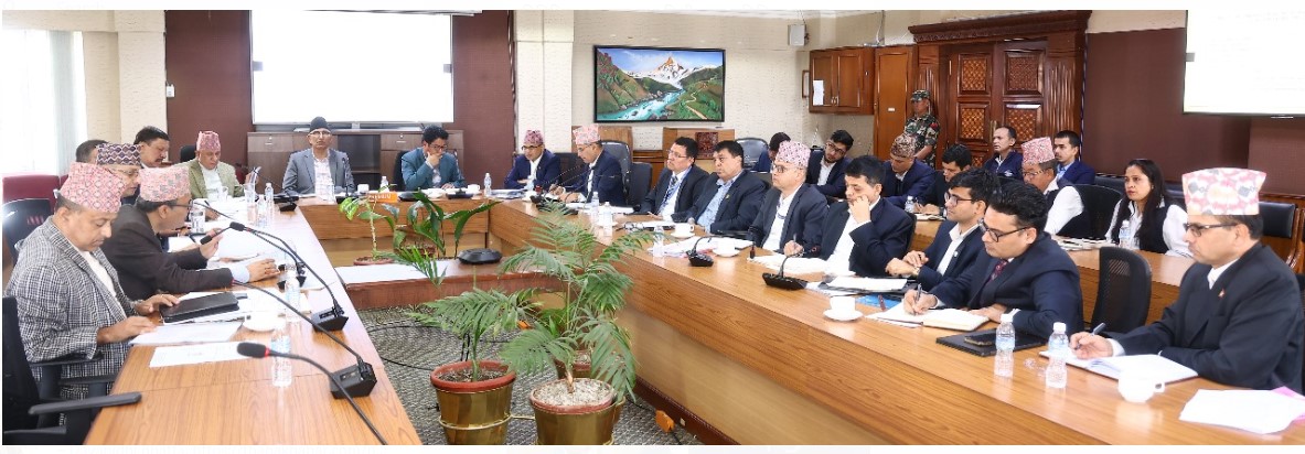 बन्द र कार्य सम्पादन कमजोर भएका विभिन्न आठ संस्थानलाई निजीकरण गर्ने निर्णय