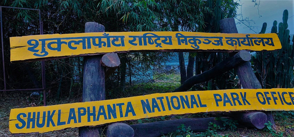 शुक्लाफाँटा राष्ट्रिय निकुञ्जमा जङ्गल सफारी खुल्ला