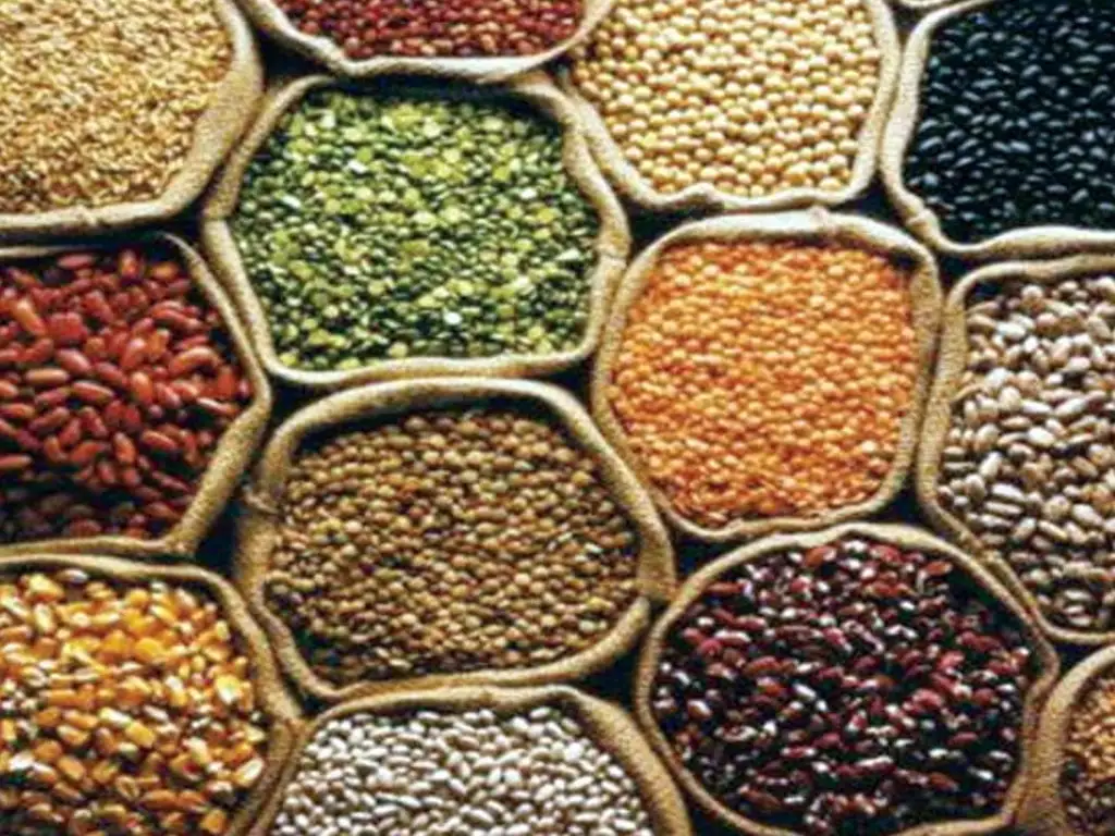 झनै बढ्यो मूल्यवृद्धि, पुसमा २.४२ प्रतिशत पुग्यो