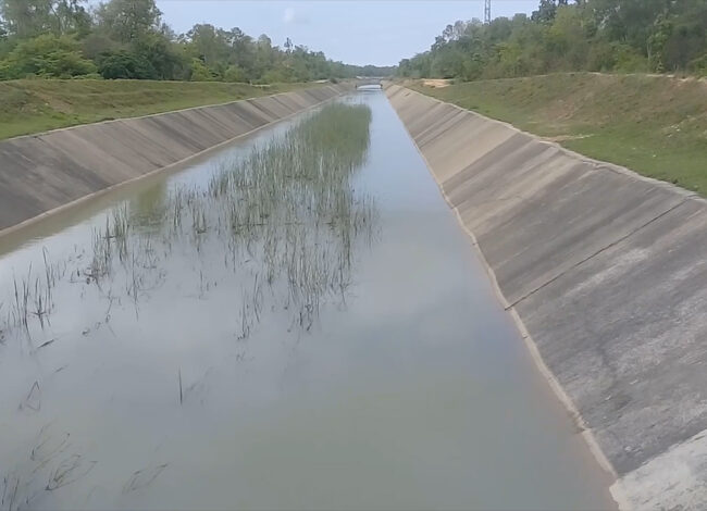 सिक्टा सिँचाइ आयोजनाः २० वर्षमा ४६ प्रतिशत भौतिक प्रगति