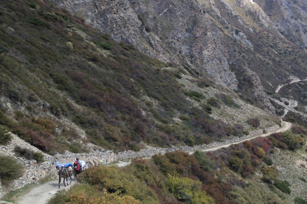 कर्णाली राजमार्गका पाँच रुग्ण ठेक्का तोड्ने प्रक्रिया अघि बढ्यो