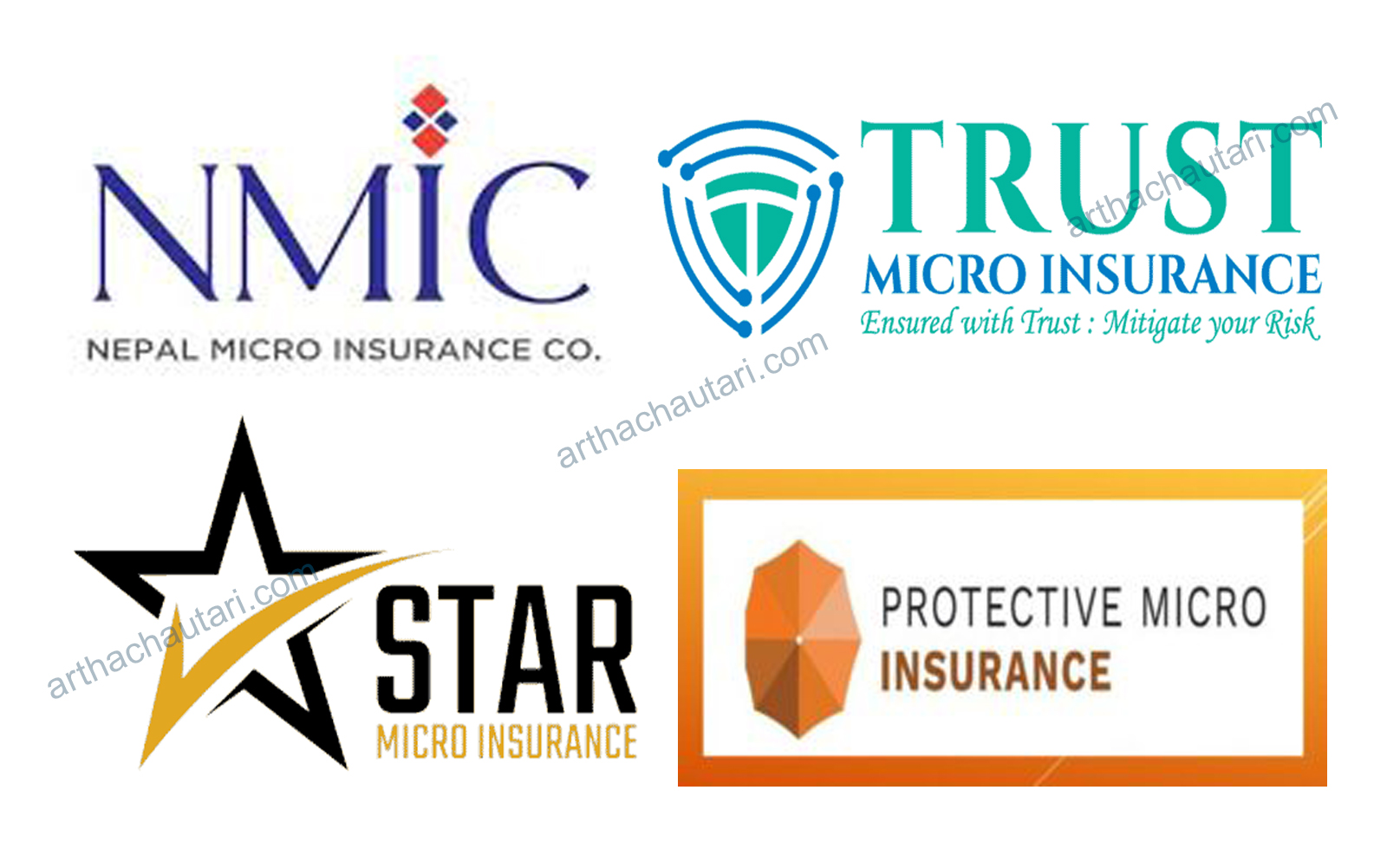 लघु निर्जीवन बीमकको लगानी २ अर्ब ५० करोड माथि, कुन क्षेत्रमा कति ?