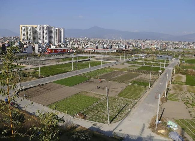 अब जग्गा रोक्का र फुकुवा बैंकबाटै, मालपोत जान नपर्ने
