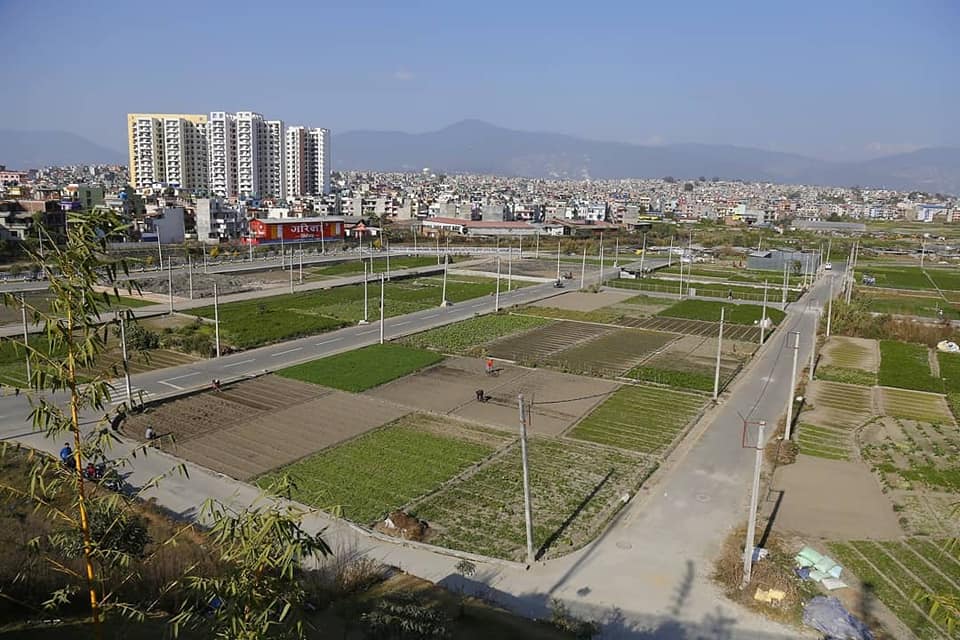 अब जग्गा रोक्का र फुकुवा बैंकबाटै, मालपोत जान नपर्ने