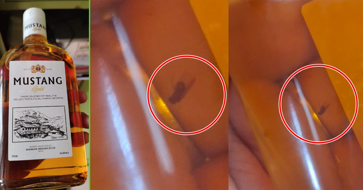 ‘मुस्ताङ गोल्ड’ रक्सीमा भेटियो झिँगा, काठमाडौं महानगरले कम्पनीलाई गर्‍यो २ लाख जरिबाना