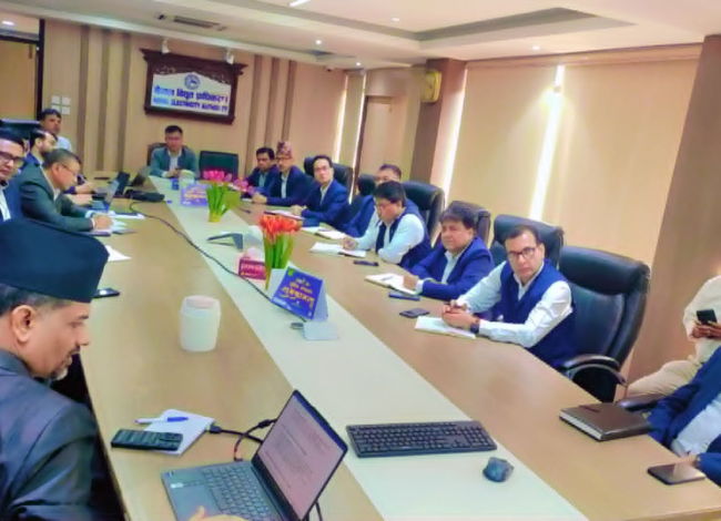 सहरी सौन्दर्य र सुरक्षामा सहयोग पुग्ने गरी विद्युत् प्राधिकरणले सञ्चालन गर्‍यो डिजिटल पूर्वाधार कम्पनी