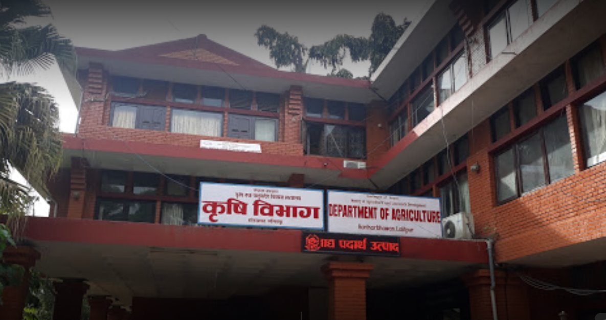 मौसमको अवस्था प्रतिकूल रहेकाले गहुँ भण्डारण गर्न किसानलाई आग्रह