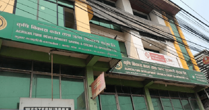 कृषि सहकारीका पीडितलाई बचत फिर्ता गर्न सुरु, पहिलो चरणमा १० हजार पाइने