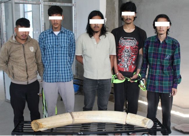 काठमाण्डौ प्रहरीको ‘स्वीप अपरेसन’: एक महिनामै चौध सय बढी पक्राउ, २१ विदेशी डिपोर्ट