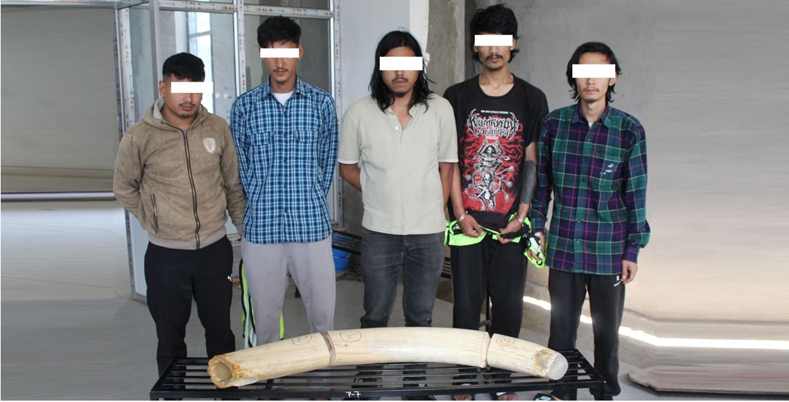 काठमाण्डौ प्रहरीको ‘स्वीप अपरेसन’: एक महिनामै चौध सय बढी पक्राउ, २१ विदेशी डिपोर्ट