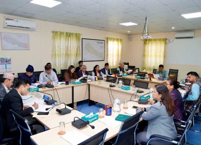 संसदीय समितिमा ग्यास सिलिन्डरको रङ फरक गर्न र लक्षित वर्गलाई मात्र अनुदान दिन सांसदहरूको माग