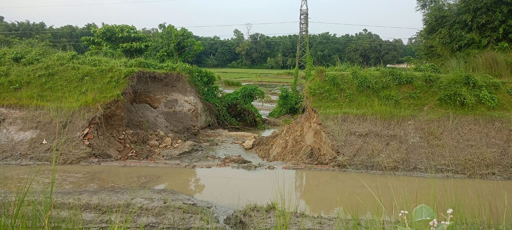 कोशी पम्प नहरको बाँध भत्कियो, झलही क्षेत्रमा डुबान
