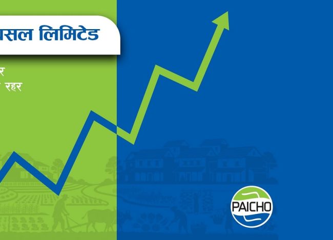 पैचो पसल पब्लिक लिमिटेड कम्पनीमा रूपान्तरण, आईपीओको तयारी ​